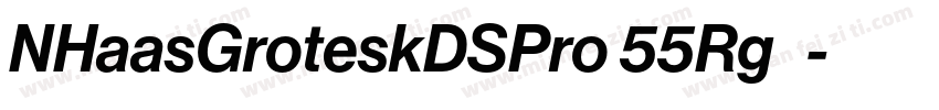 NHaasGroteskDSPro 55Rg◆字体转换